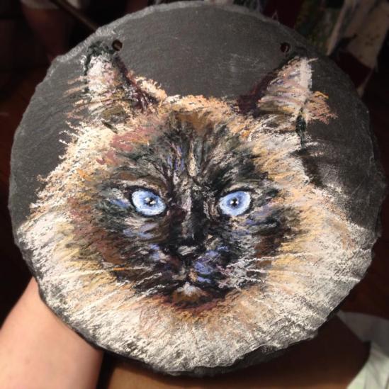 Pastel painting of my fur cat on slate.
